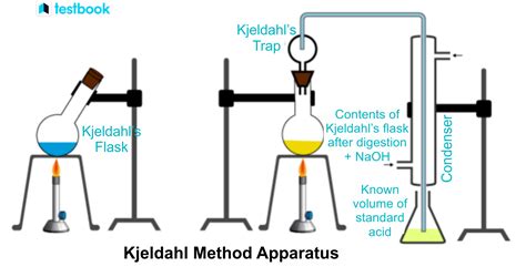 what is the kjeldahl method